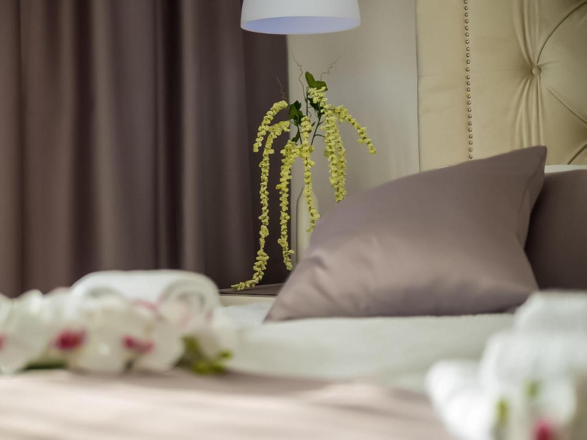 Villa Milly Vrh  エクステリア 写真