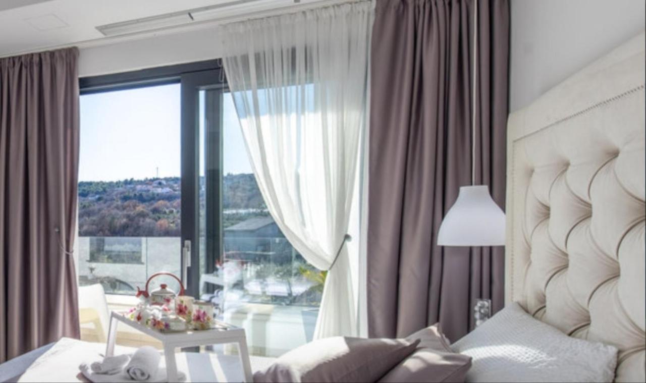 Villa Milly Vrh  エクステリア 写真