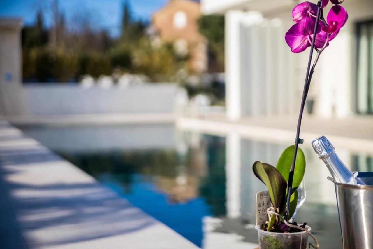 Villa Milly Vrh  エクステリア 写真